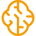 noun-brain-2610597-F59E0B